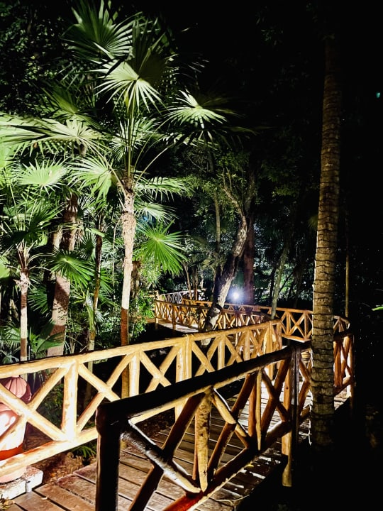 Gartenanlage Iberostar Waves Tucan