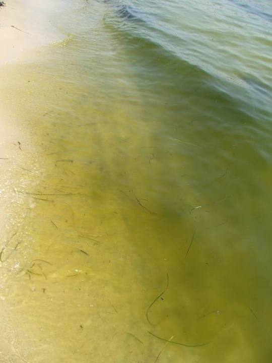 Jeden dzień woda tak wyglądała  Alassio Hotel and Thalasso