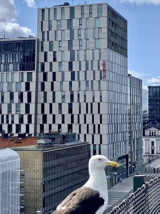 Außenansicht Hotel Scandic Continental