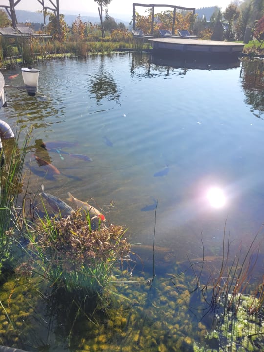 Gartenanlage Hotel & Spa Larimar