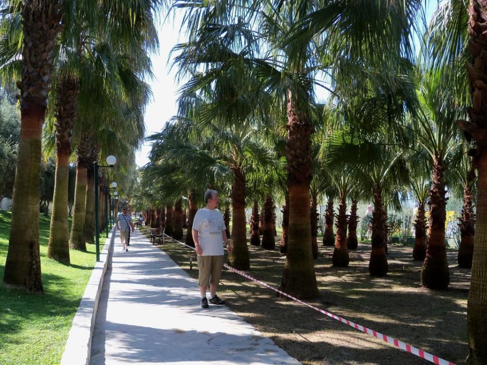 Weg zum Strand Hotel Miramare Beach