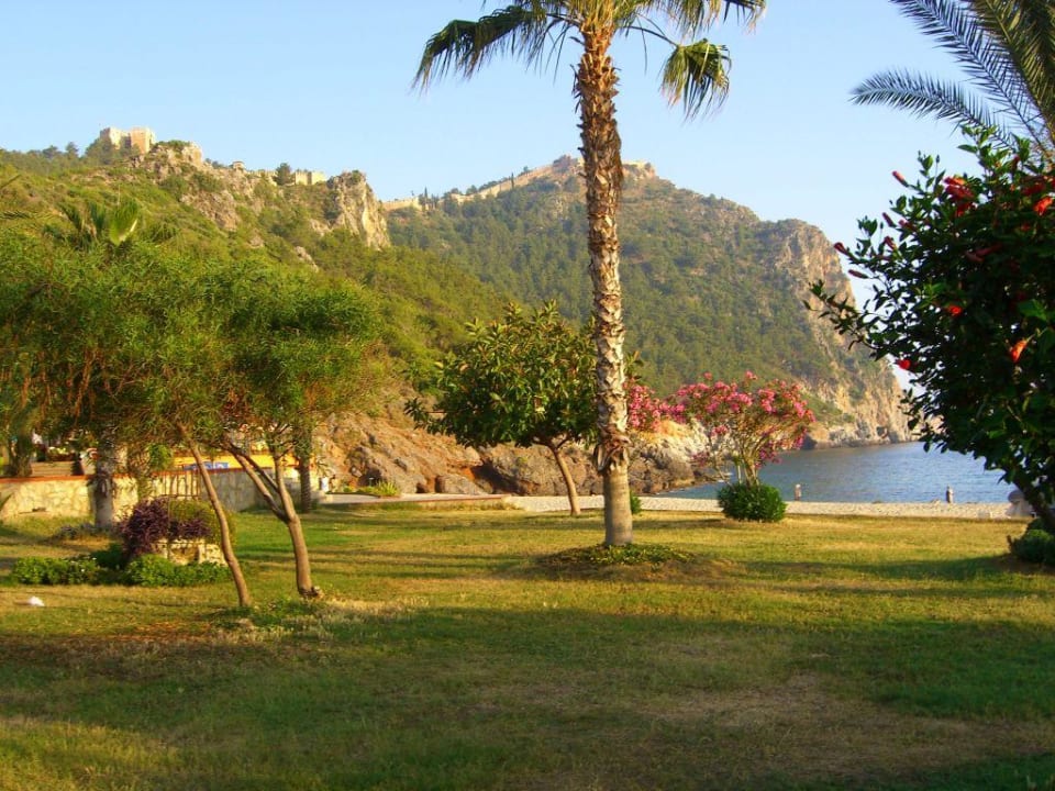 In der nähe vom Hotel Hotel Kleopatra Dreams Beach