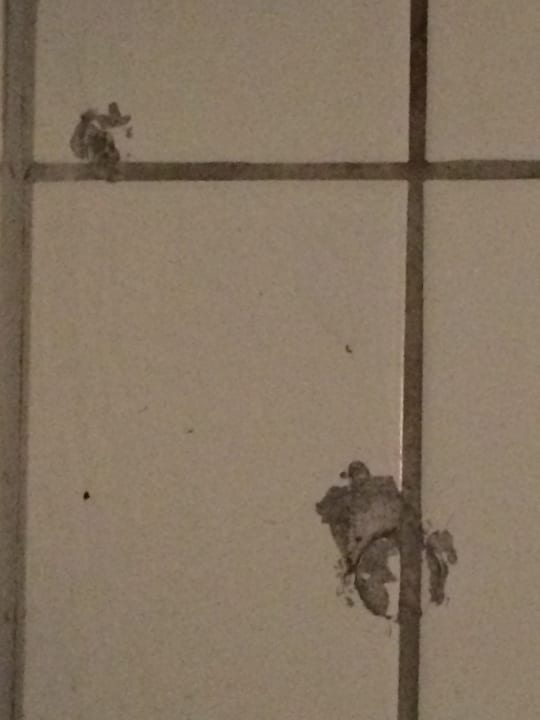 Zimmer Hotel Landgasthof Werdenberg