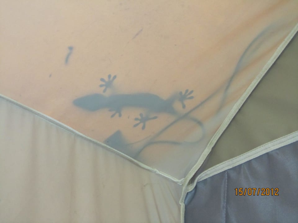 Unser Besucher am Zelt Hintok River Camp