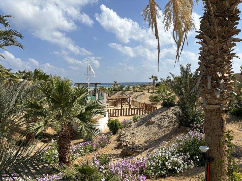 Gartenanlage Three Corners Fayrouz Plaza Beach Resort