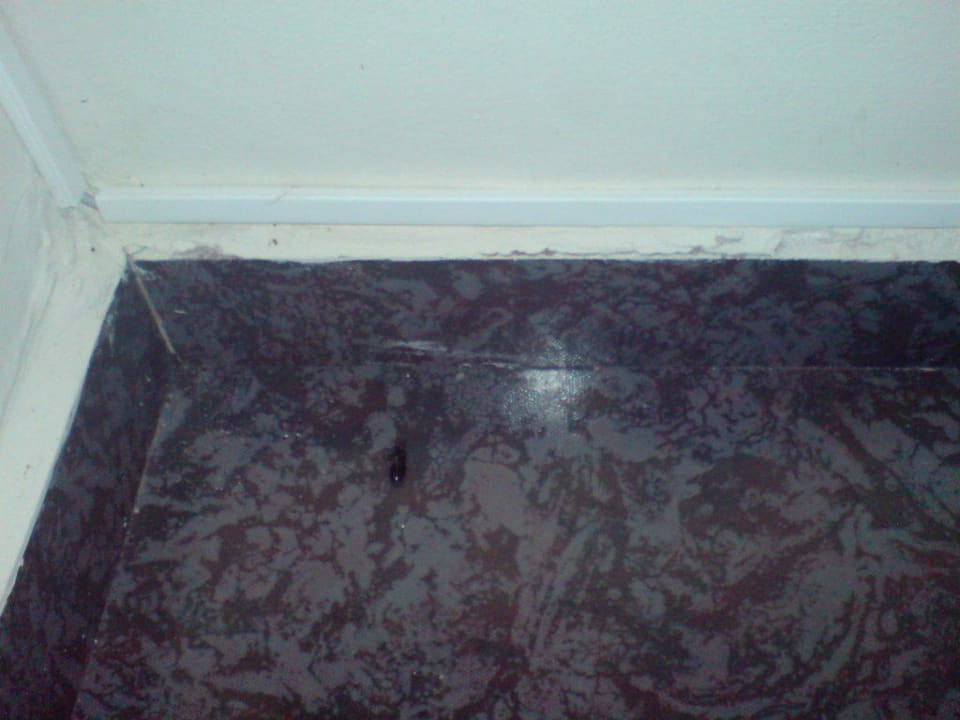 Kakerlaken und Co. HARPIN Georgioupolis Resort Aquapark & SPA