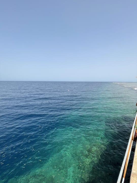 Strand Pickalbatros Sea World Resort - Marsa Alam