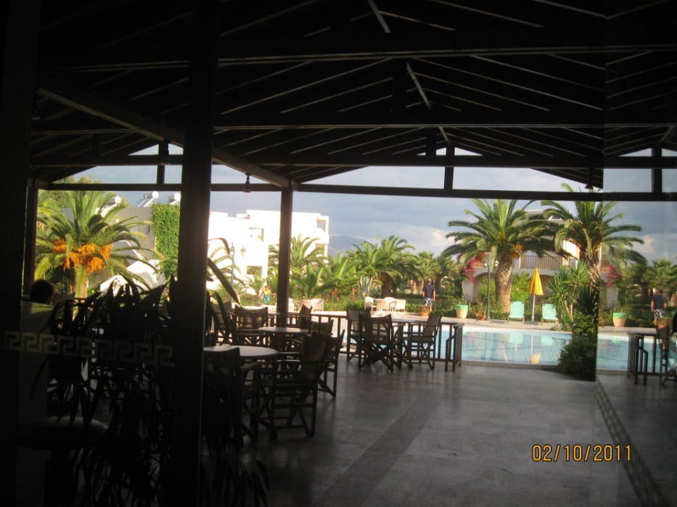 Bar, Terrasse, Aussenbereich des Hotels Delfina Tropic Beach