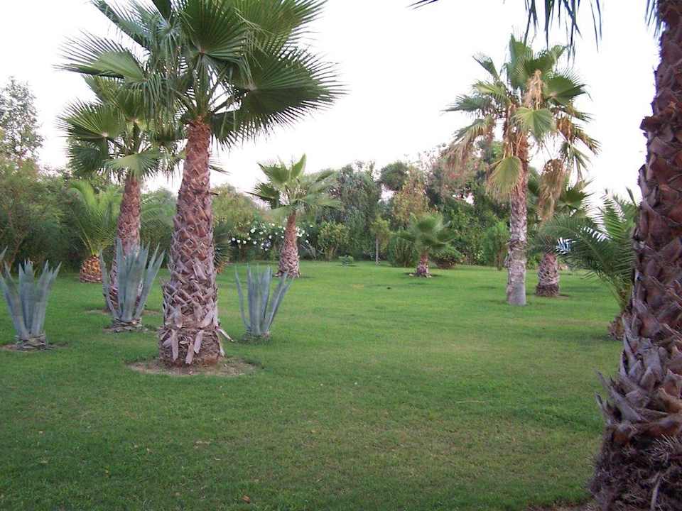 Impressionen 2009 VONRESORT Golden Coast