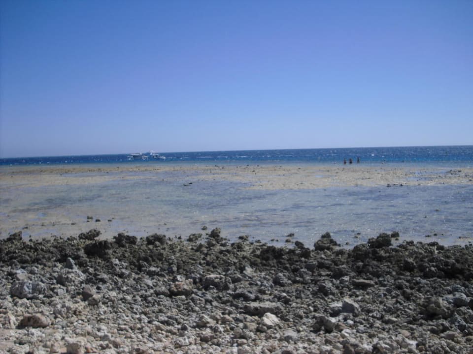 Strand bei Ebbe Grand Makadi