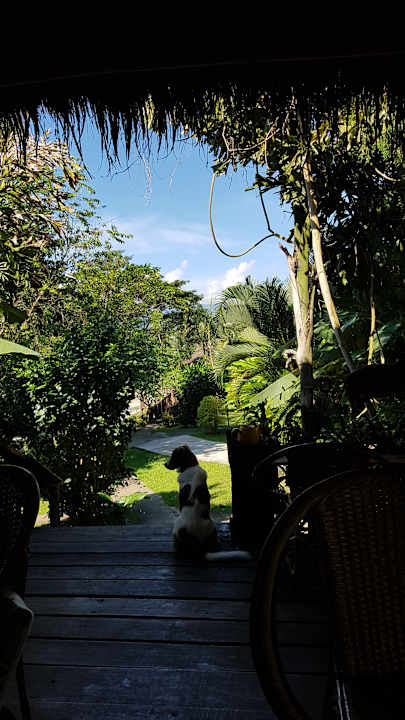 Gartenanlage Kalm Pai Resort