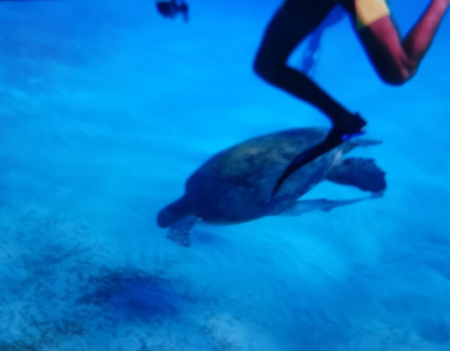 Strand Three Corners Sea Beach Resort