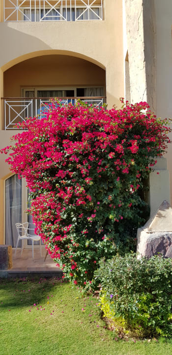 Außenansicht Prima Life Makadi Resort