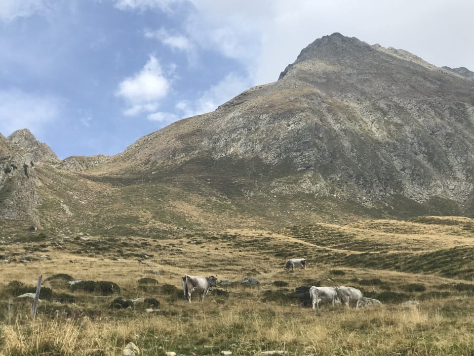 Ausblick Alpenhof Lodge Passeiertal