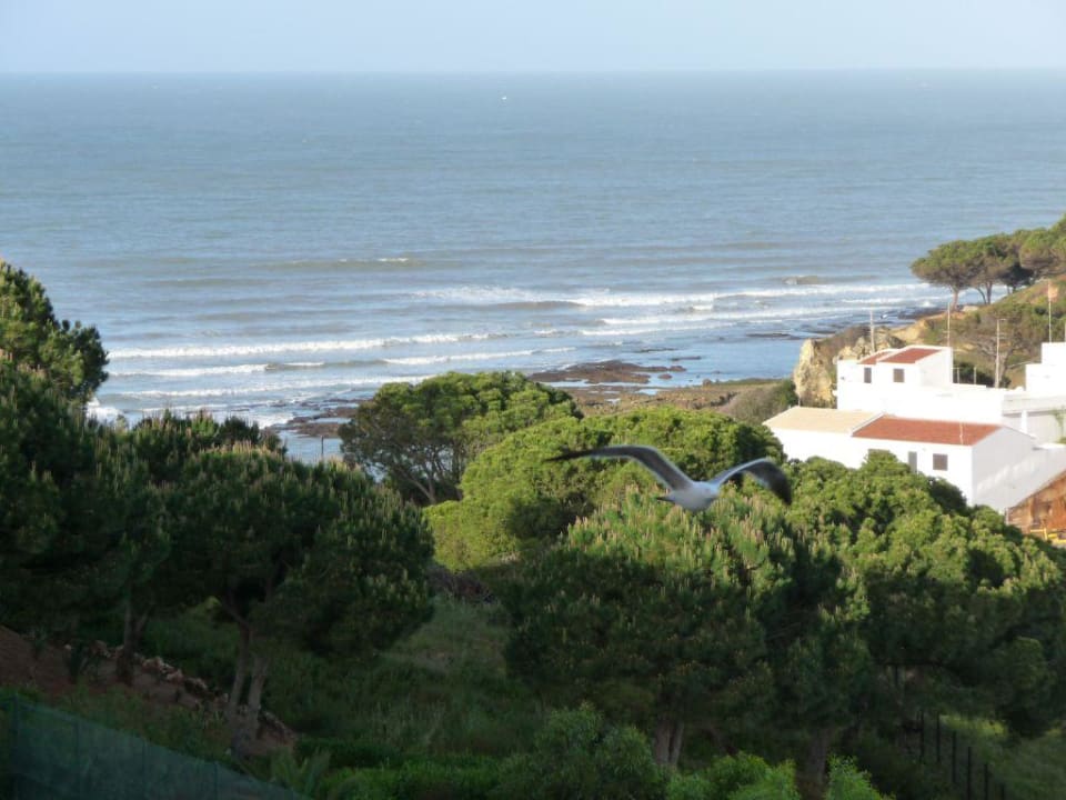 Blick vom Balkon PortoBay Blue Ocean