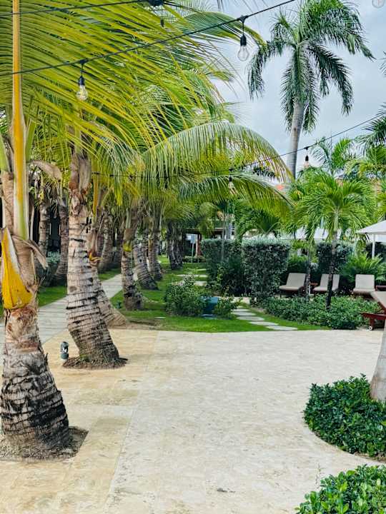 Gartenanlage Dreams Flora Resort & Spa - All Inclusive