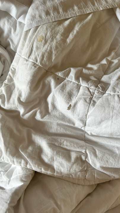 Zimmer Tusan Beach Resort