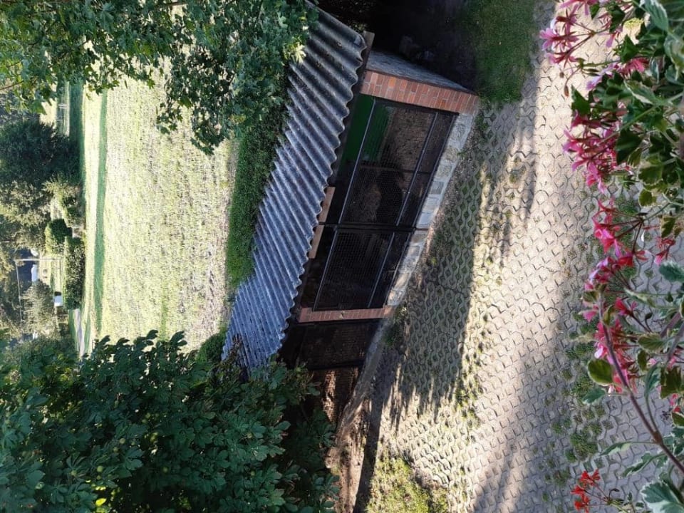 Ausblick Hotel Zur Wildbahn