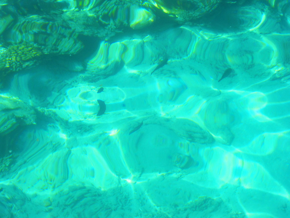 Morze a dokąłdnie rafa koralowa  Titanic Beach Spa & Aqua Park