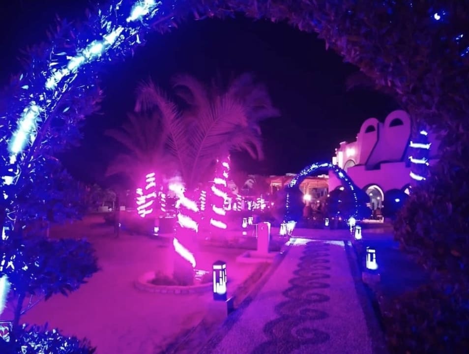 Gartenanlage Coral Sun Beach