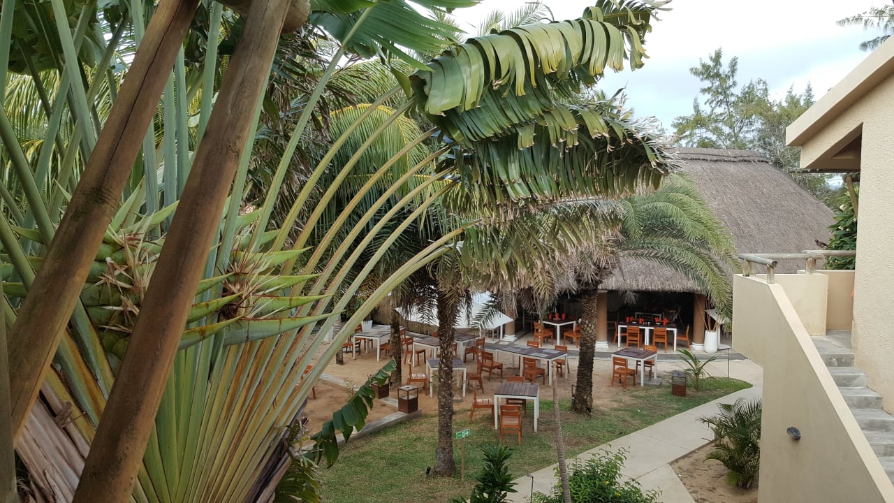 Ausblick Friday Attitude