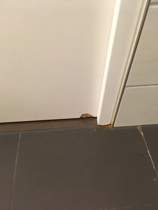 Zimmer Dorint Hotel Bonn