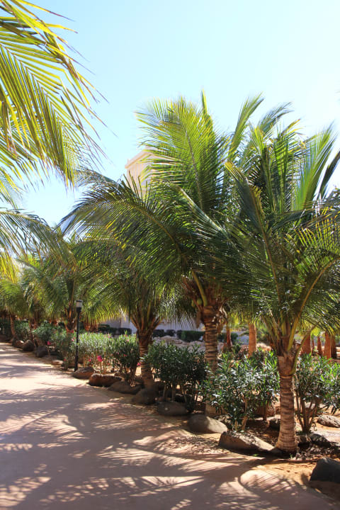 Außenansicht Hotel Riu Touareg