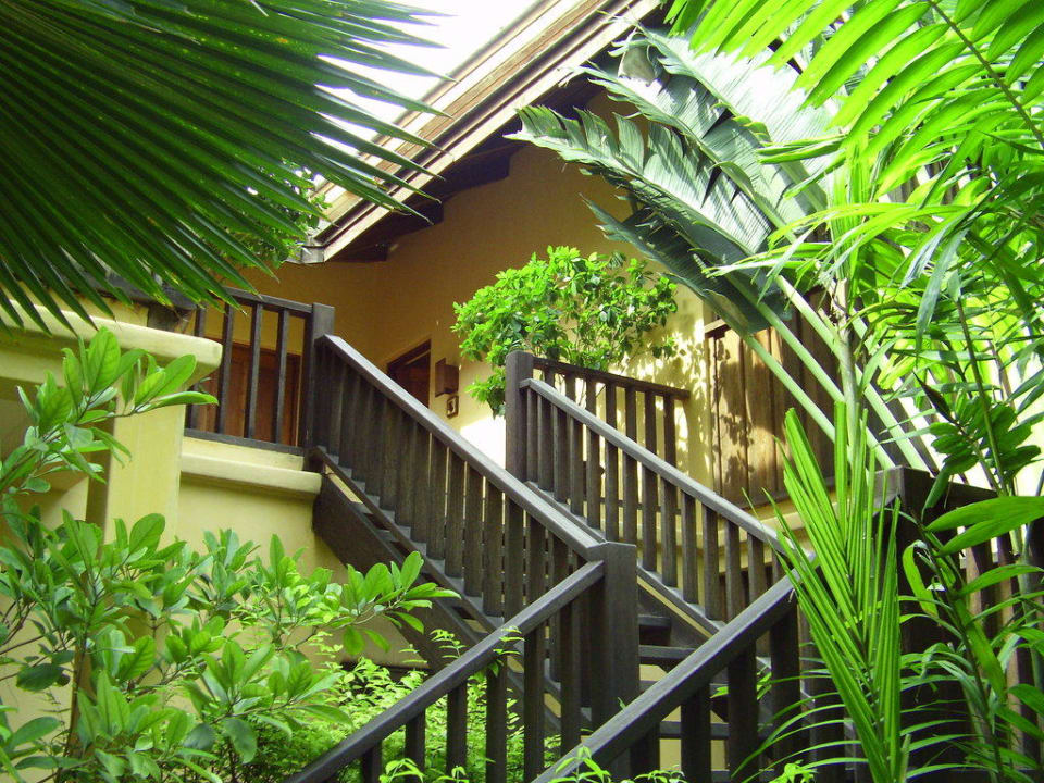 Grün, grün Buri Rasa Village Samui Adults Only Resort