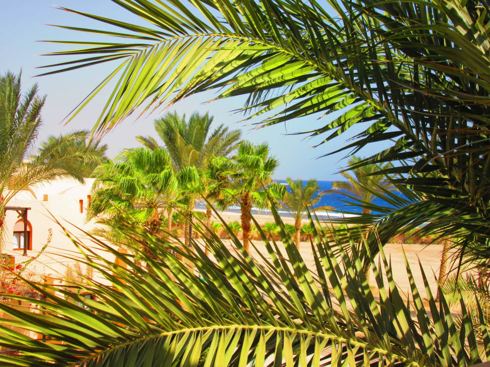 Ausblick Steigenberger Coraya Beach - Adults only