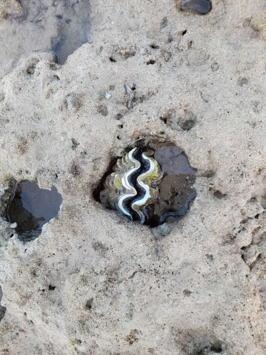 Strand Cleopatra Luxury Resort Makadi Bay