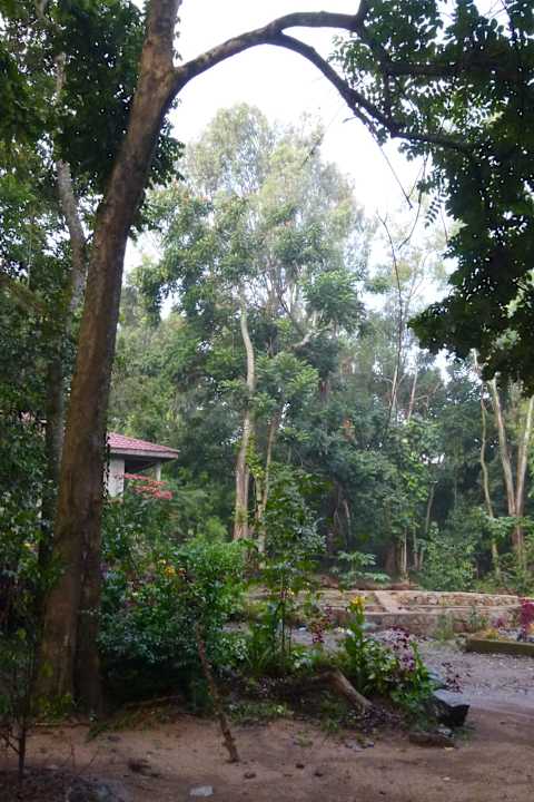 Bungalow Jinka Resort