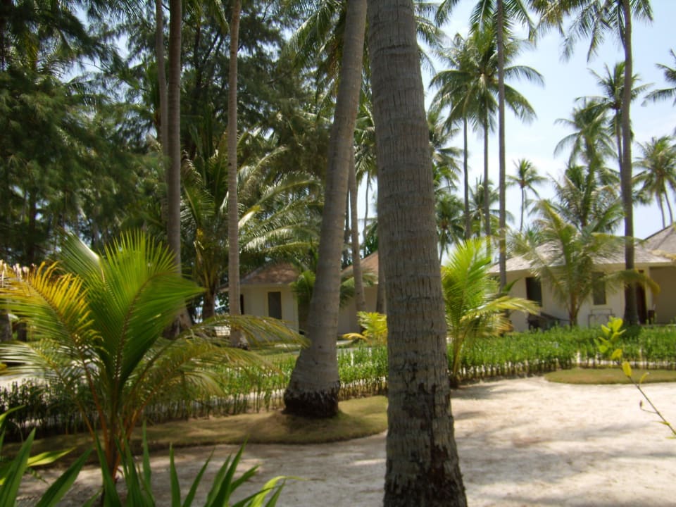 Blick auf die Cottages Kura Kura Resort