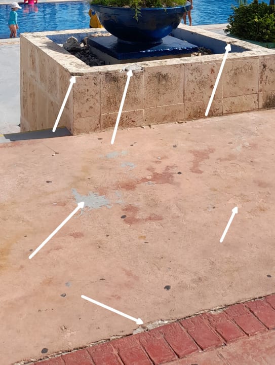 Gartenanlage Playa Cayo Santa Maria