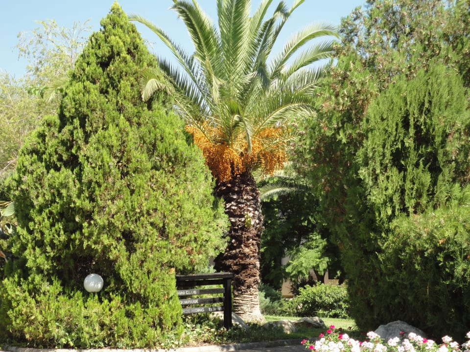 Gartenanlage Starlight Resort Hotel