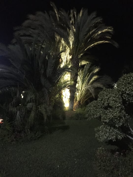 Gartenanlage Hotel Djerba Resort