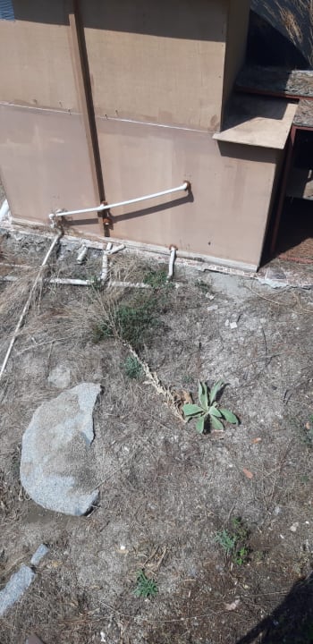 Ausblick Ayanya Beach & Bistro Bungalows