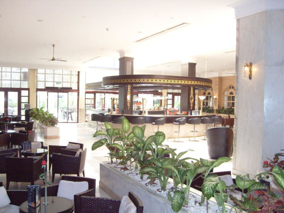 Pianobar Balmy Foresta