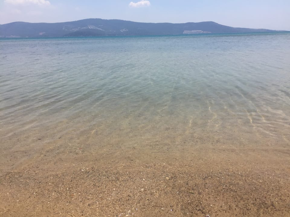 Strand Asteria Venus Didim