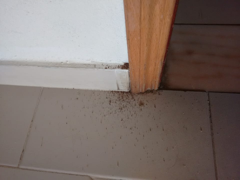 Zimmer Grand Muthu Forte da Oura