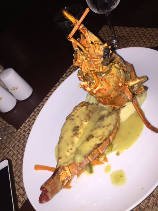 Langusta in italienisches a la carte Restautant  Grand Palladium Select Bávaro Resort & Spa