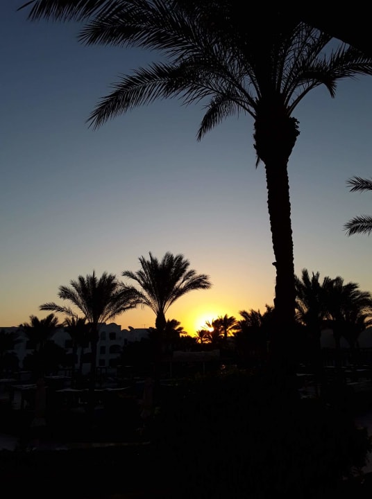 Ausblick Hotel JAZ Makadi Star & Spa