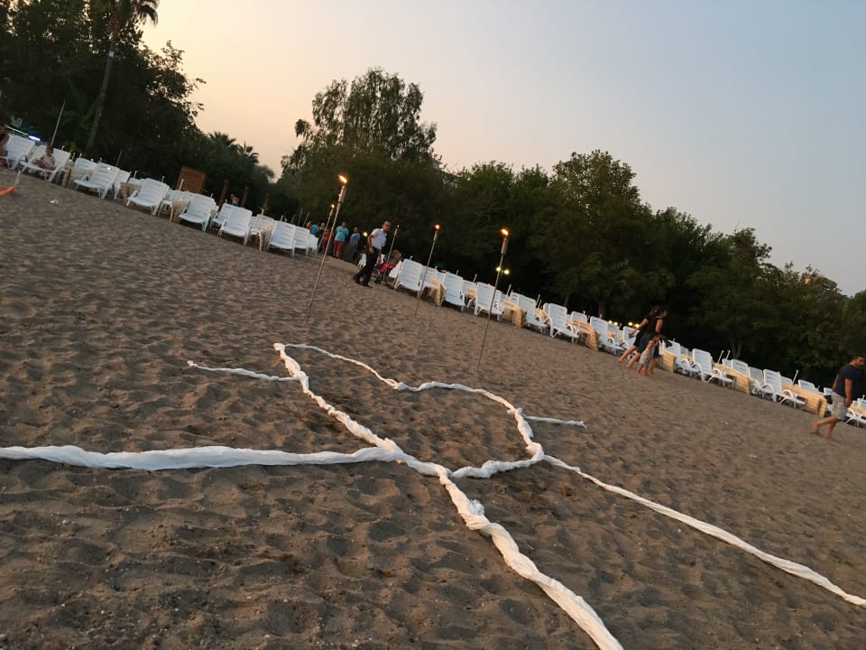 Strand Hotel Gardenia Beach