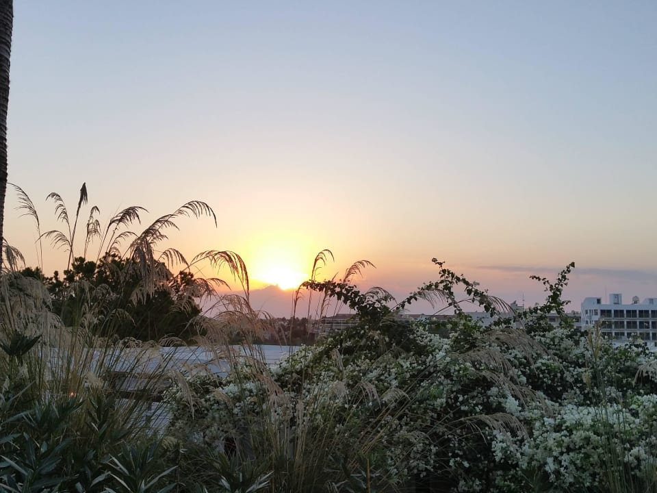Wunderschöner Sonnenuntergang Hotel Nissi Beach Resort