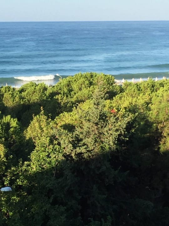 Ausblick  Gardenia Hotel