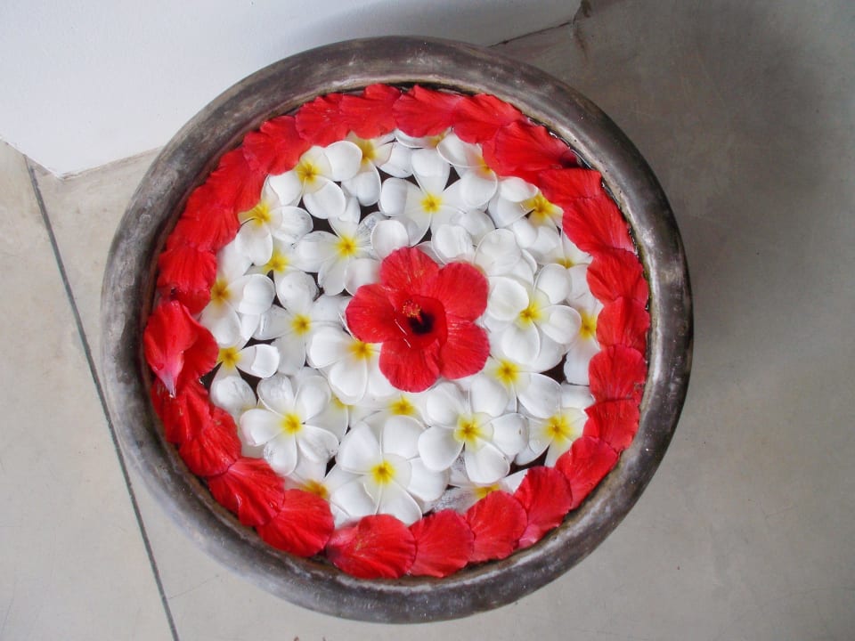 Jeden Tag frische Blüten Thaala Bentota