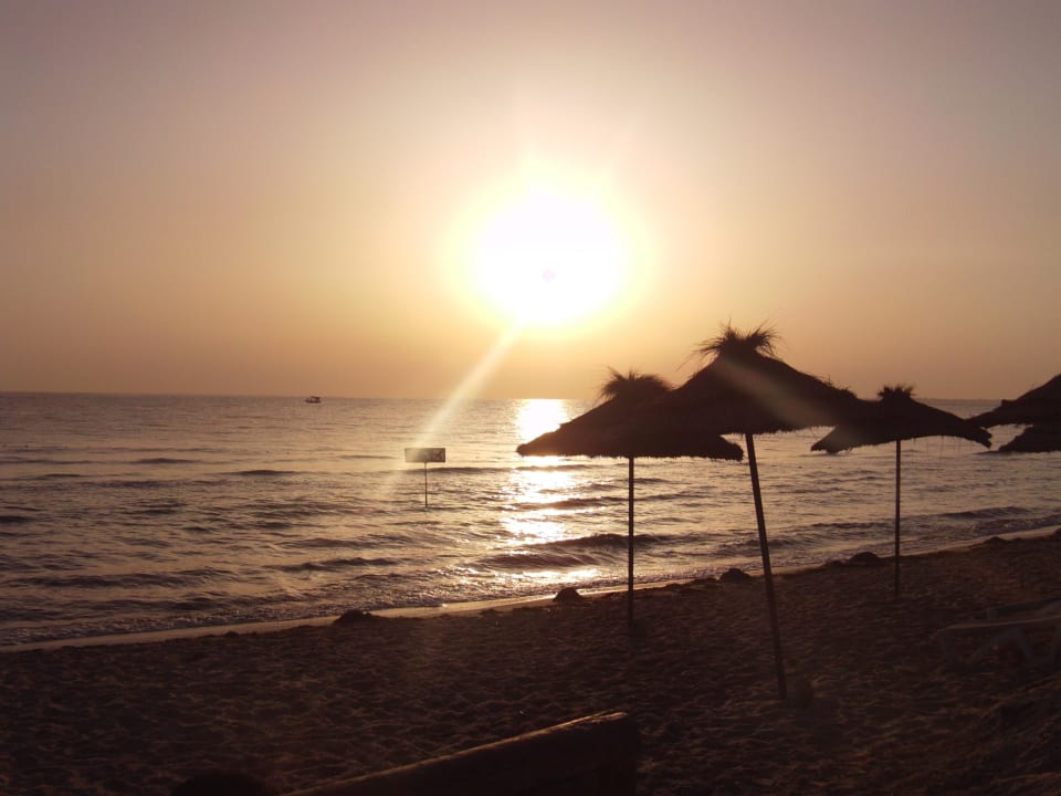 Super schön Monarque Club Rivage