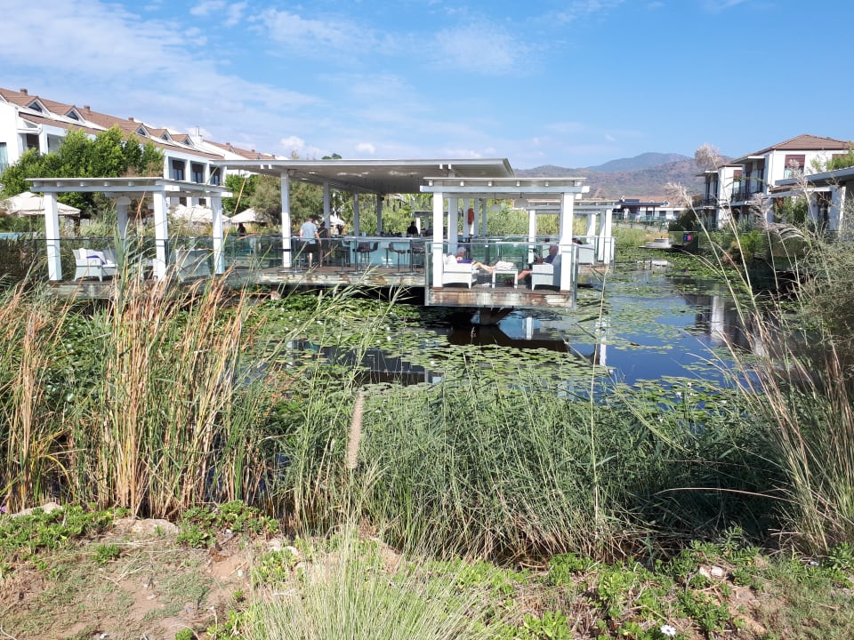 Gastro Jiva Beach Resort