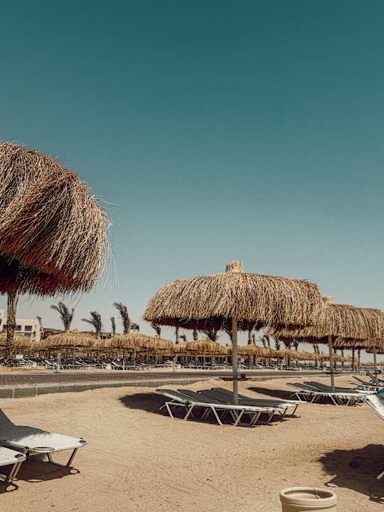 Strand JAZ Elite Asteria