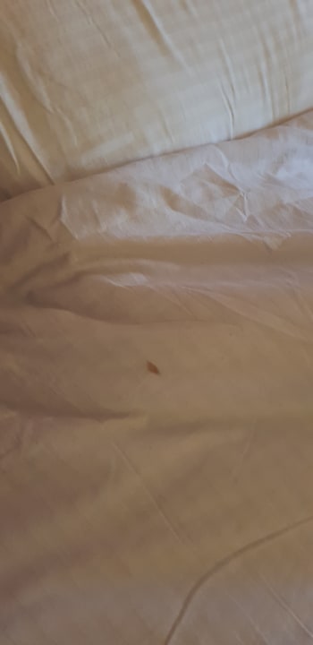 Zimmer Le Jardin Aqua Park Resort