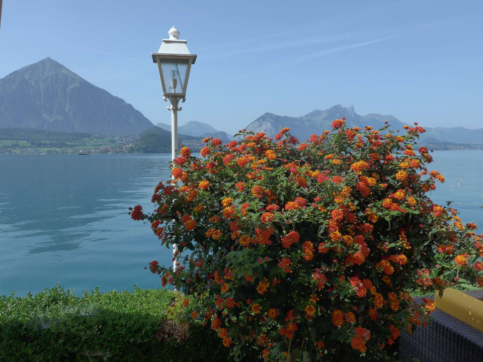 Gartenanlage Beatus Wellness- & Spa-Hotel